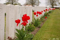 Flowers at Poelcapelle British Cemetery