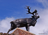 The Caribou