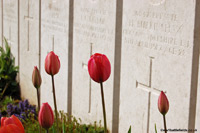 Flowers and graves at Cojeul Cemetery