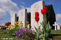 Beautiful flowers around the graves at Fosse 7 Cemetery