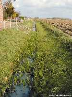 Layes Brook