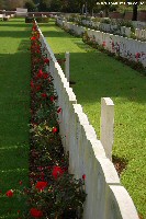 'Additional headstones behind one of the rows
