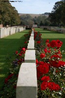 'Roses either side of the graves