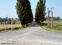 View from Crucifix Corner towards Aveluy