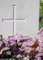 Butterflies at Contalmaison Chateau Cemetery