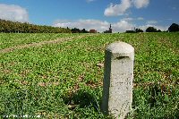 Private memorial to Captain Francis Dodgson