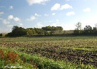 View of the Butte de Warlencourt from the main Albert-Bapaume road