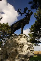 Newfoundland Caribou Memorial at Guedencourt