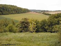 A view along Death Valley towards Flatiron Copse Cemetery