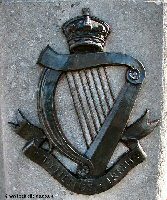 The Tyneside Irish insignia
