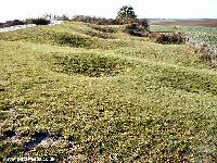 Remains of shellholes ground around the Lochnagar crater