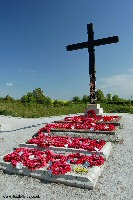 The Cross of Tyneside wood at the Lochnagar crater