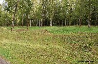 Shell scarred ground at Douaumont