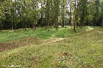 Shell scarred ground at Douaumont