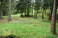 Shell scarred ground at Fleury