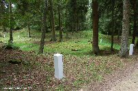 Shell scarred ground at Fleury