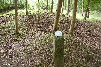 The site of the houses are marked by small stone columns