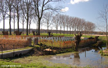 Hospital Farm Cemetery