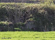 Bunker near Hollebeke