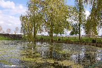 The lake at Railway Dugouts Burial Ground (Transport Farm)