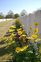 Flowers at Loos British Cemetery