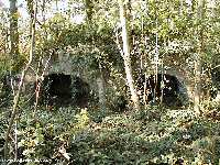 Another bunker in the Bois du Biez